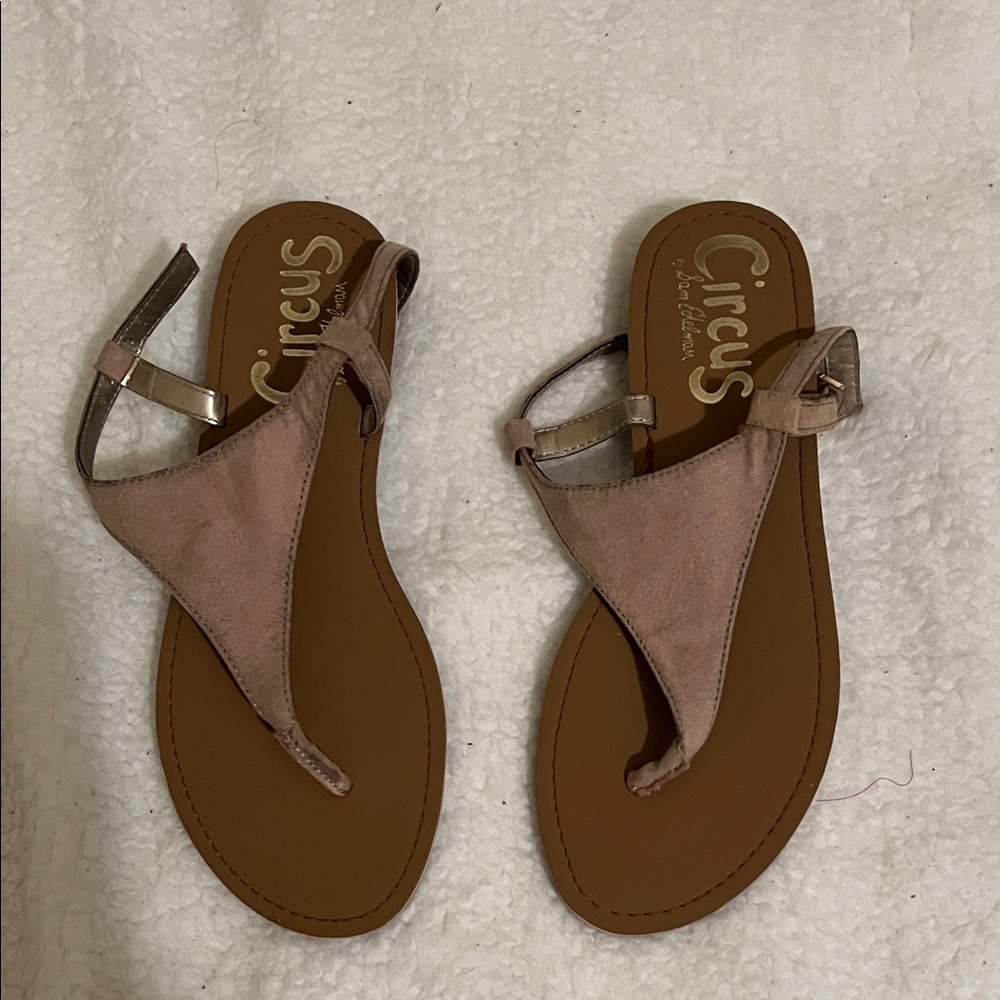 Circus by Sam Edelman Blush Sandals